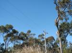Canoelands Ridge - overhead cables