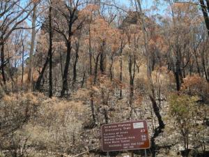 VK2/CT-012 Wider view - look at how the trees have been burnt