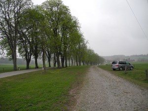 Convenient parking just down the road from the start of the track.